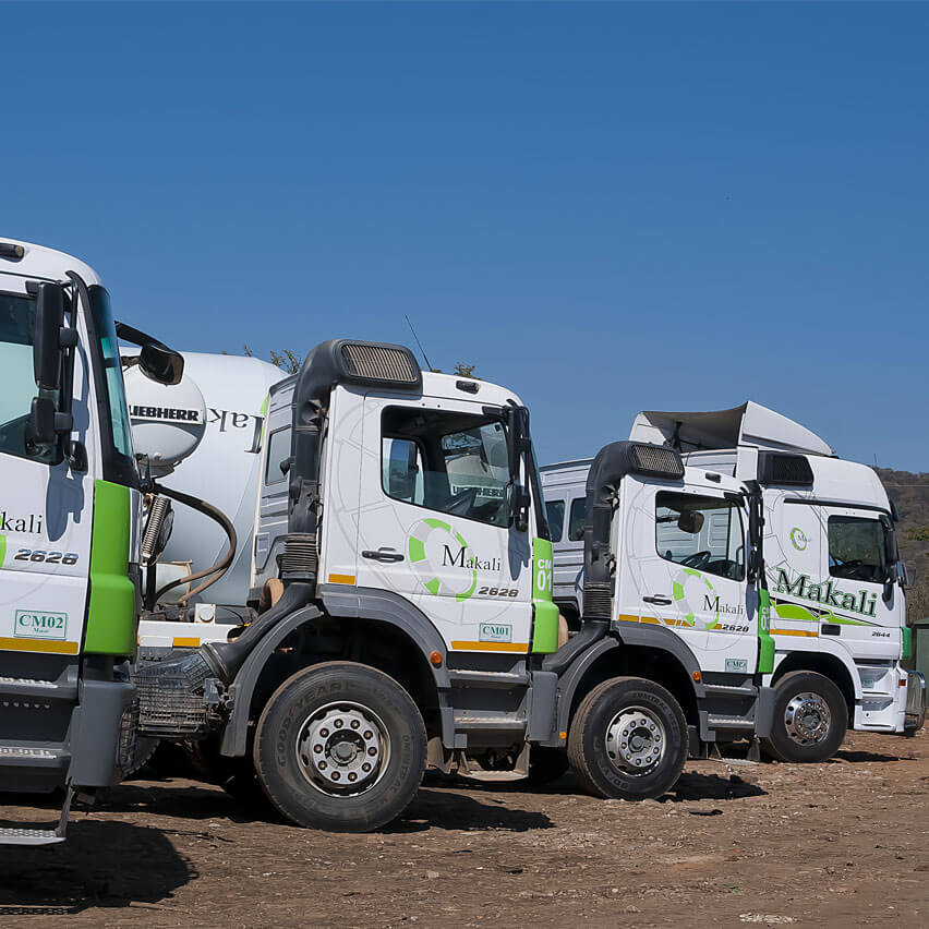 A lineup of trucks parked in an open field, displaying a range of styles and colors against a backdrop of nature.